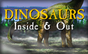 Dinosaurs Inside & Out